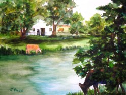 Boulder Creek at 75th pre-flood