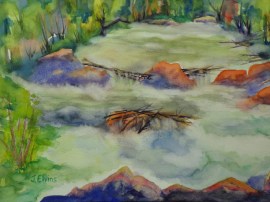 Lefthand Creek at Buckingham Park