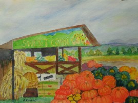 Pumpkin Shopping, Munson Farms