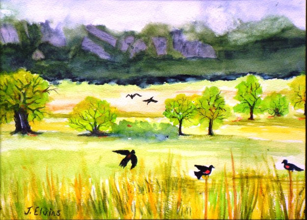 South Boulder Creek Trailhead