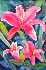 Blazing Lilies