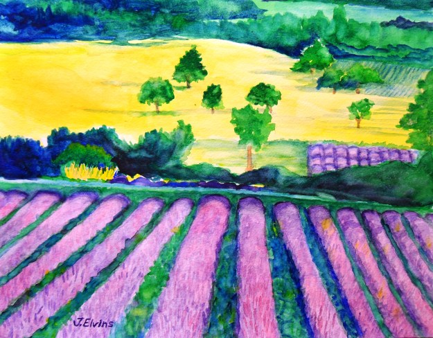 Lavender Field in Provence