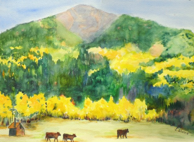 Trailhead near Gothic, CO