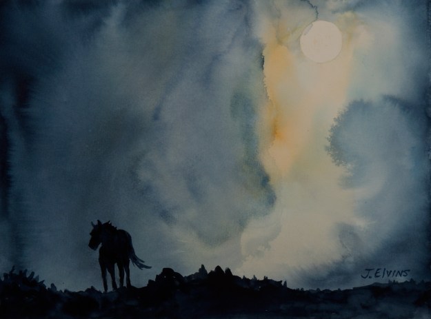 Wild Horse, Wild Night