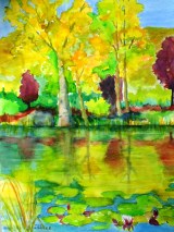 Yampa River Botanic Park